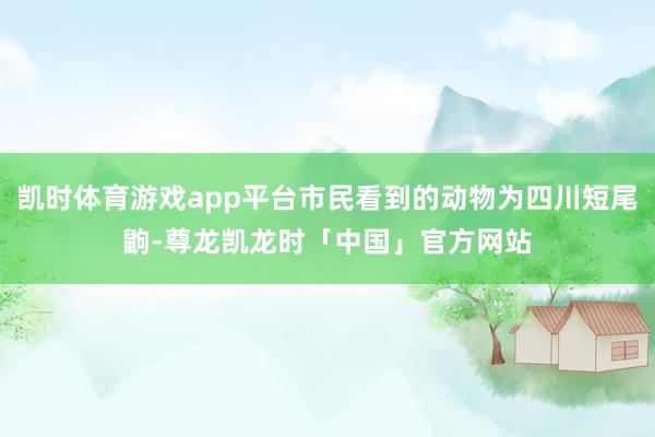 凯时体育游戏app平台市民看到的动物为四川短尾鼩-尊龙凯龙时「中国」官方网站