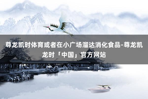 尊龙凯时体育或者在小广场溜达消化食品-尊龙凯龙时「中国」官方网站