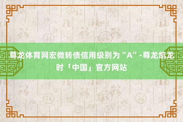 尊龙体育网宏微转债信用级别为“A”-尊龙凯龙时「中国」官方网站