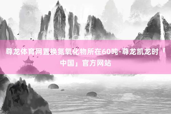 尊龙体育网置换氮氧化物所在60吨-尊龙凯龙时「中国」官方网站